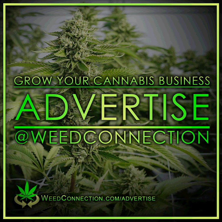 #Advertise @WeedConnection